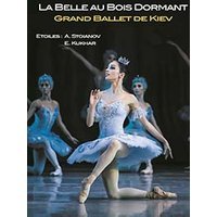 La belle au bois dormant