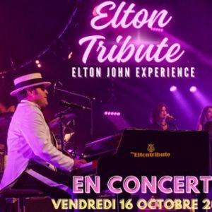 ELTONTRIBUTE (Denain)