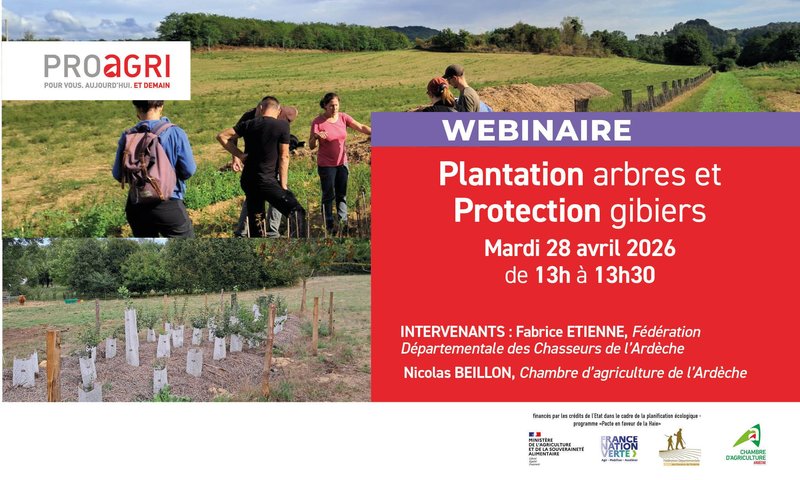 WEBINAIRE Plantation arbres et protection gibiers