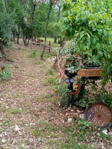 Exposition plein air "Faire en Fer"