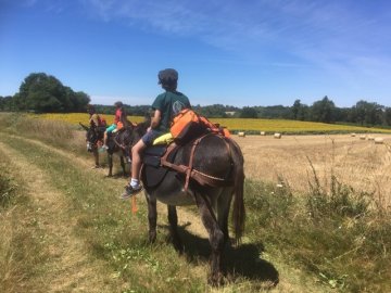 Multi-activités autour des ânes