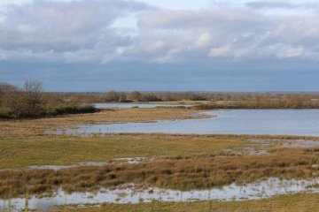 À la découverte de la Réserve Terre et Etangs de Brenne Massé-Foucault
