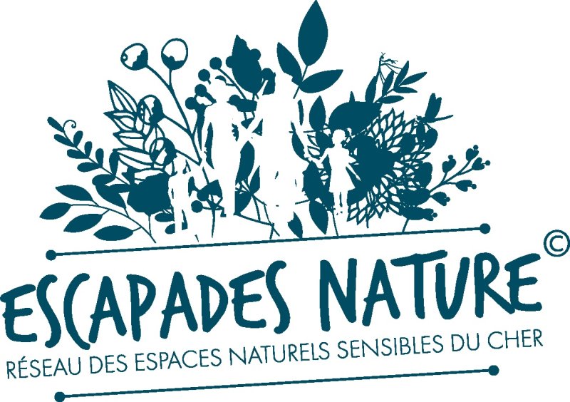 La Sologne pittoresque