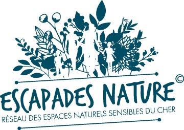Le fantôme de l'ïle