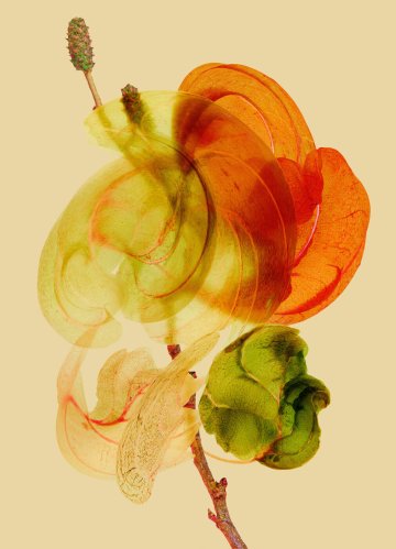 Atelier créatif en famille "Plus vrai que nature !"