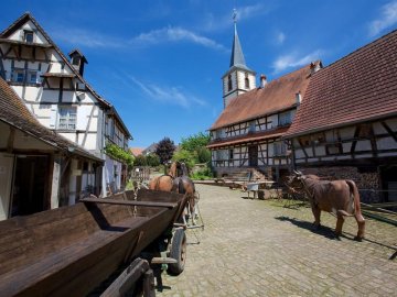 Visite guidée de la Maison Rurale de l'Outre-Forêt
