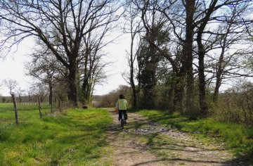 Journée du patrimoine: découverte du patrimoine naturel "étang des Landes"
