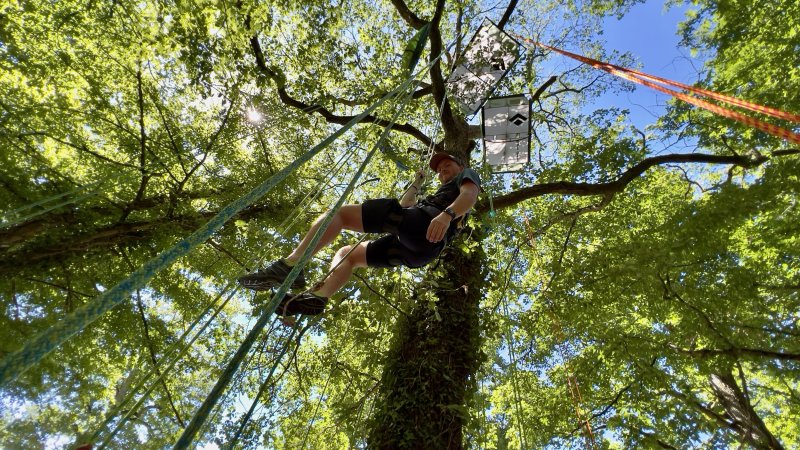 Stages à la journée "Devenir grimpeur d'arbres"