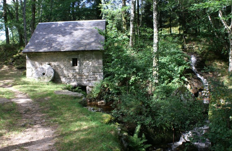 Balade et repas d'Automne
