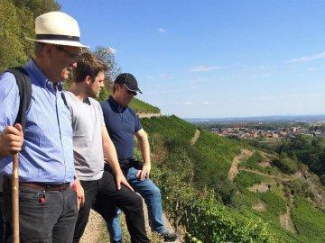 Balade immersive dans le vignoble du Rangen