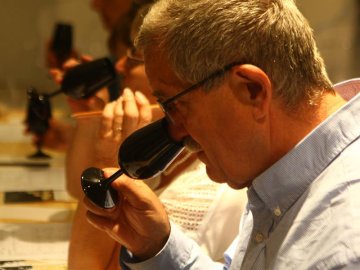 Balade sensorielle dans le vignoble du Rangen : mystères dans le verre !