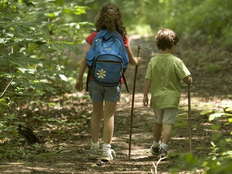 Activité : balade nature