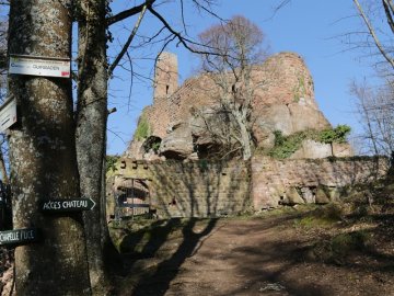 Découverte du château de Guirbaden