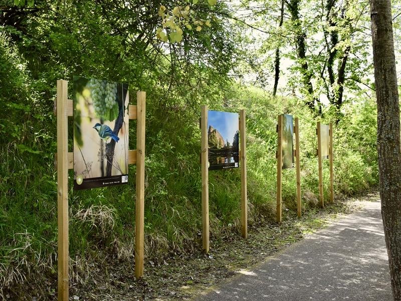 Exposition - Ilots Bonheur, regards d’enfants