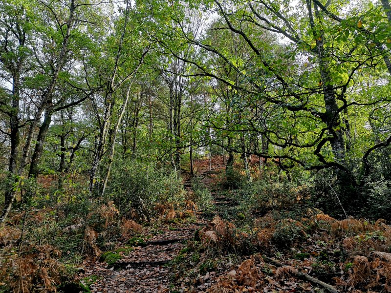 Aux couleurs de l'automne