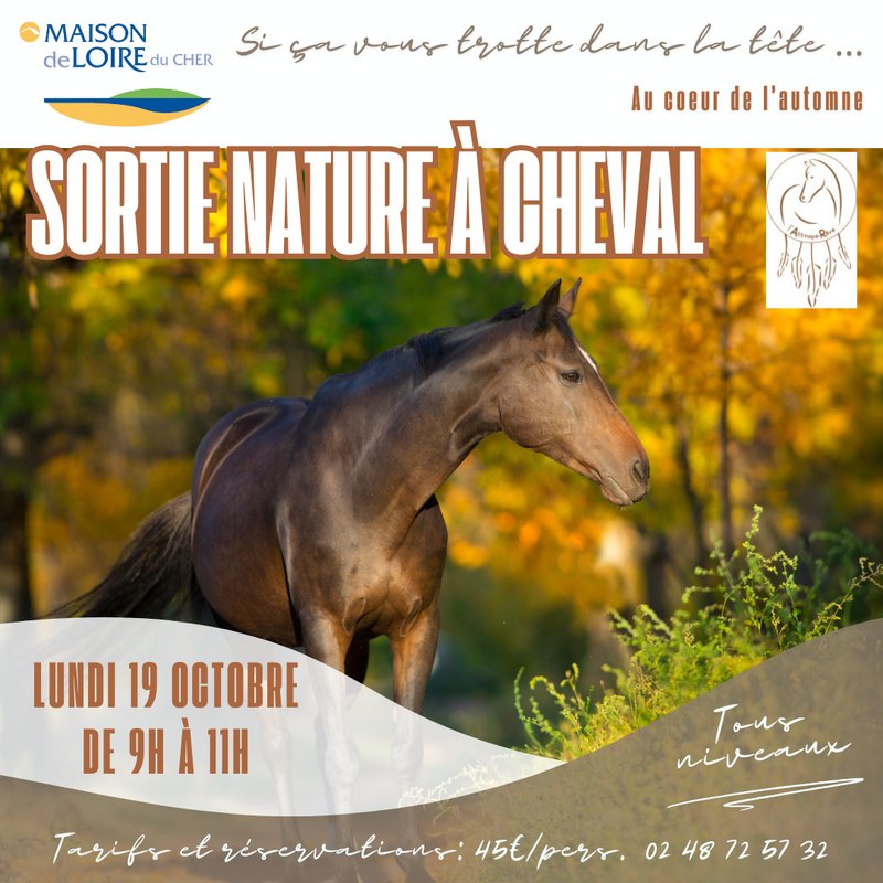 Sortie nature à cheval