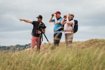 Expérience de Destination : Je me ressource grâce aux oiseaux