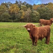 Enquête à la ferme