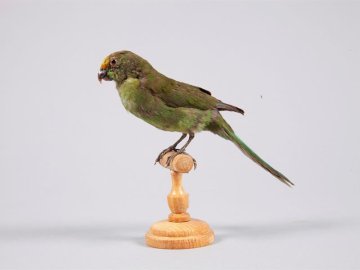 Visite famille au Musée de la Cour d'Or - Euro-Métropole de Metz - La petite vadrouille au Pavillon