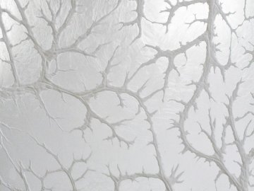 Exposition Toute la beauté du monde