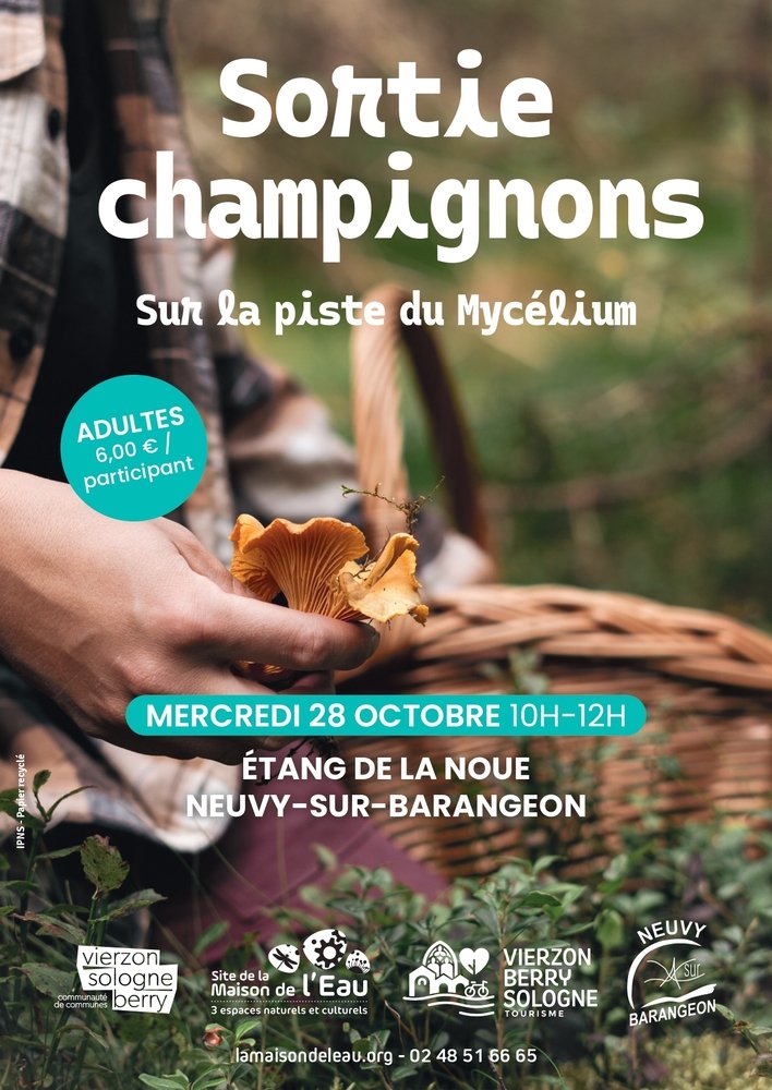 Sortie champignons