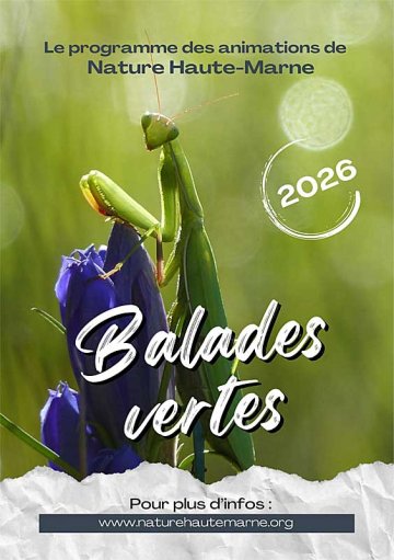 Balades Vertes en Haute-Marne : Balade hivernale et vin chaud