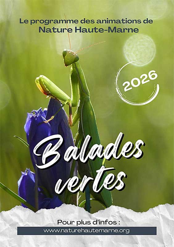 Balades Vertes en Haute-Marne : Balade hivernale et vin chaud