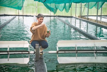 Visites de la Ferme du Puy de la Velle (Spiruline du Doubs)