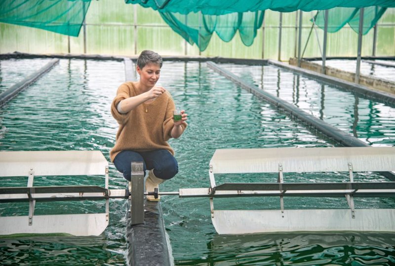 Visites de la Ferme du Puy de la Velle (Spiruline du Doubs)