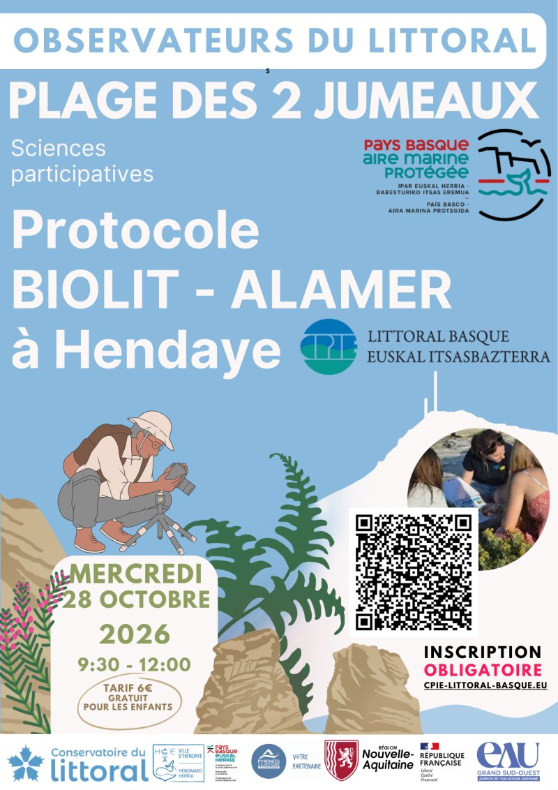 Observateurs du Littoral : découvrez la richesse de la biodiversité de l’estran rocheux.