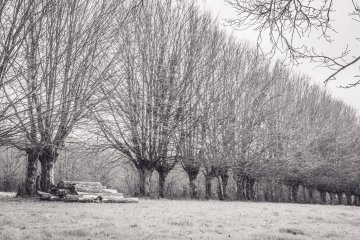 Montormel entre Histoire et nature