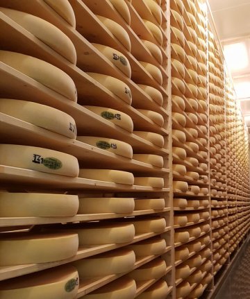 Visite guidée de la fruitière du Pays Grandvallier