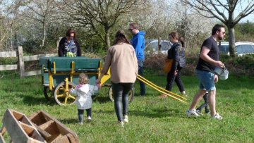 Chasse aux oeufs