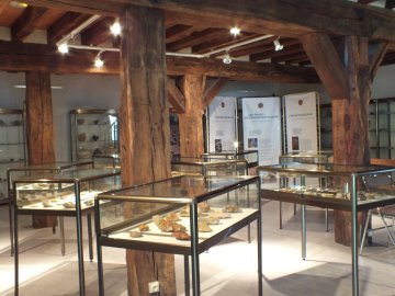 Journées Européennes du Patrimoine : visite du Musée de Préhistoire et d'Histoire