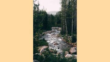 Excursion : Carnets d'aventures