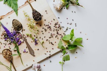 Cuisine sauvage d'automne