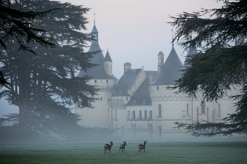 Noël au château de Chaumont-sur-Loire - Chasse au trésor