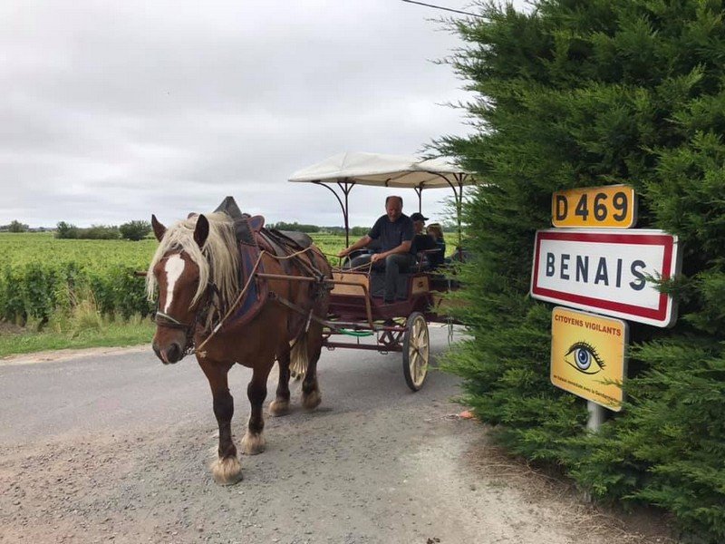 Balade en calèche