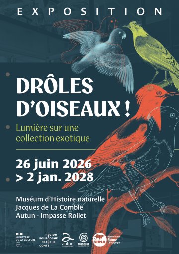 Exposition "Drôles d'oiseaux : lumière sur une collection exotique"