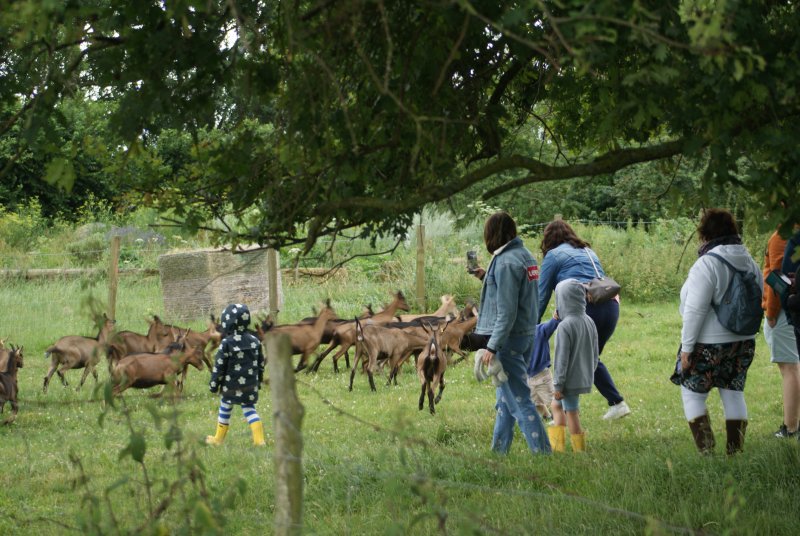 Atelier découverte : les animaux de la ferme