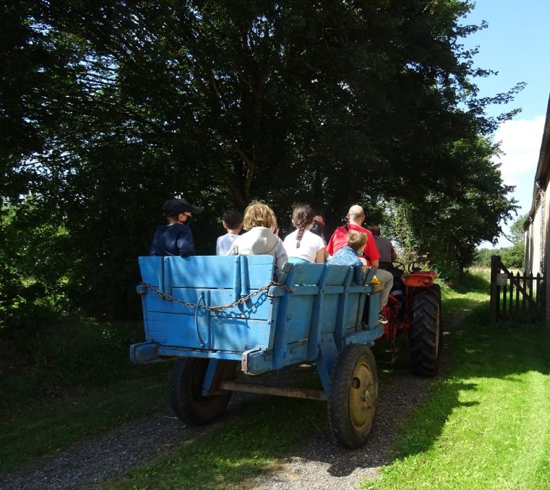 Balade en tracteur vintage - Ferme-musée du Cotentin