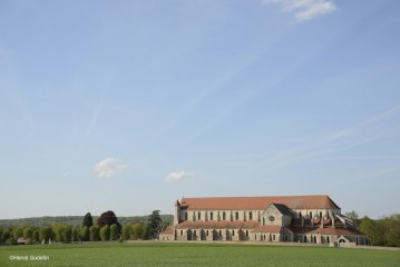 L'Abbaye de Pontigny, aux origines du Chablis