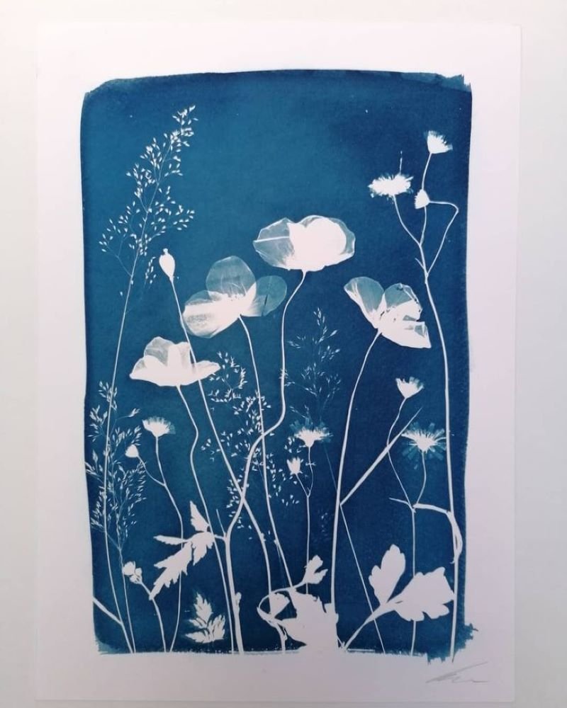 Expérience de Destination : je créé mon cyanotype avec les fleurs du Jardin Christian Dior