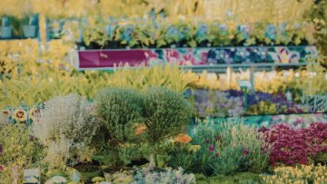 Fête des jardins et de la biodiversité
