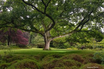 Journées européennes du patrimoine à l'Arboretum