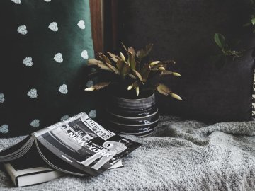 Club lecture vert