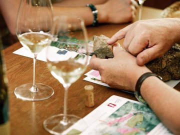 Parenthèse Vigneronne : Les terroirs de Grands Crus