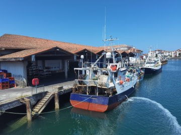 Visite Pays d’art et d’histoire : "Autour du port: paroles de femmes"