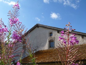 Exposition "Et si nous parlions des femmes ?"