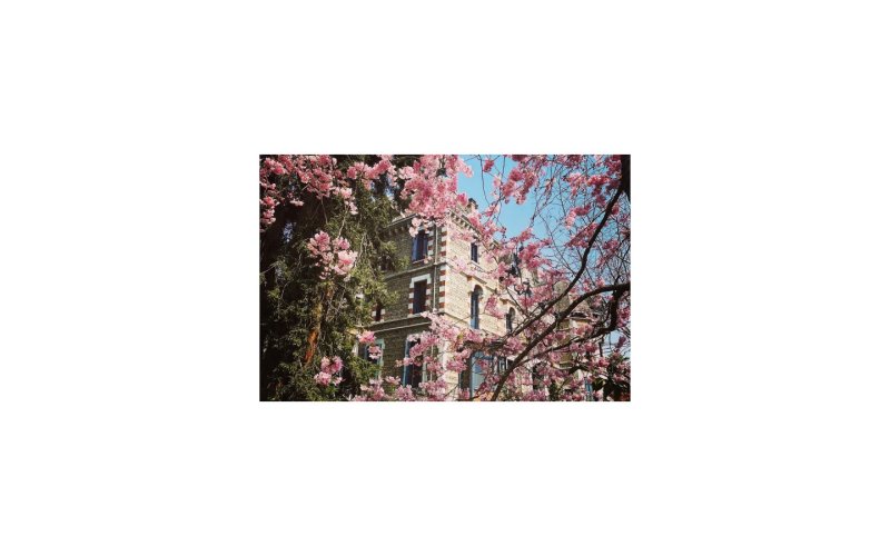 Le printemps c'est maintenant !